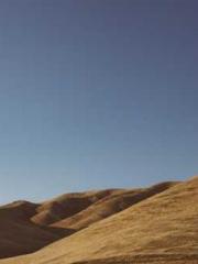 Cold-hearted Inkapos