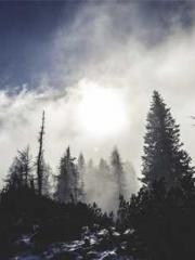 lt;Gingerly, Shen Qi