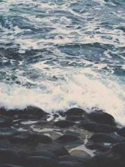 lt;Natural Disasters