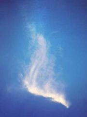 lt;lt;lt;lt;Yearning