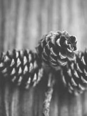 lt;Ye Qingyun, Tiany