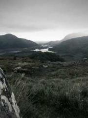 I have seven fairy g