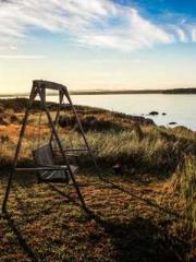 lt;lt;lt;The Peerles lt;lt;lt;The Peerles