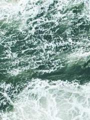 My Amazing Female Te