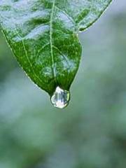 My seven stunning an