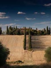 A Second Marriage Mo