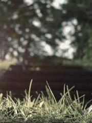 One Night of Indulge