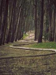 A-SOULapos;s Hoshima