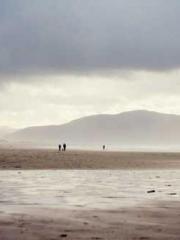 Falling for You: The