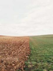 Saintly Gate Venerab