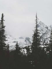 My Amazing Female Te