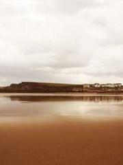 Shocking! This prota Shocking! This prota