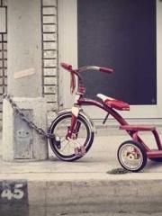 The Favorite Concubi