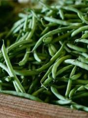 Qi Revival: I woke u