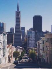 A Heavenly Gift: The