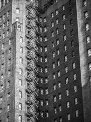 Transmigrated to the