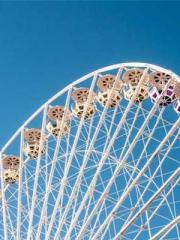 Unbound by any rules