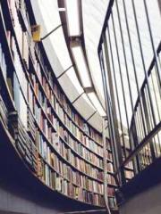 The Little Fox Spiri