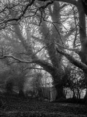 Fast Travel: The Vil