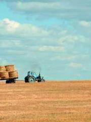 lt;The Dragon Discar