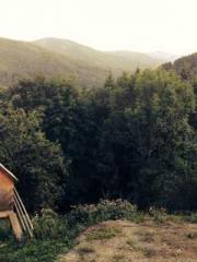 RONG Zhaonan NING Yu